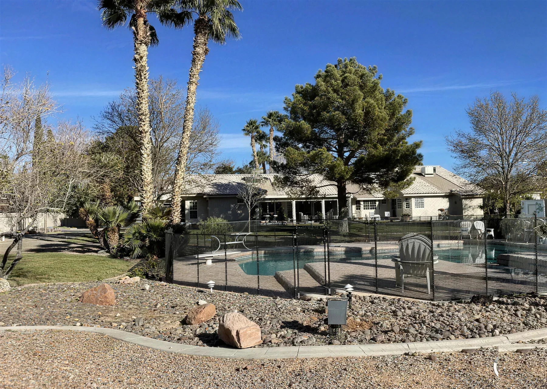 Backyard pool bordered by a mature pine and rock landscaping