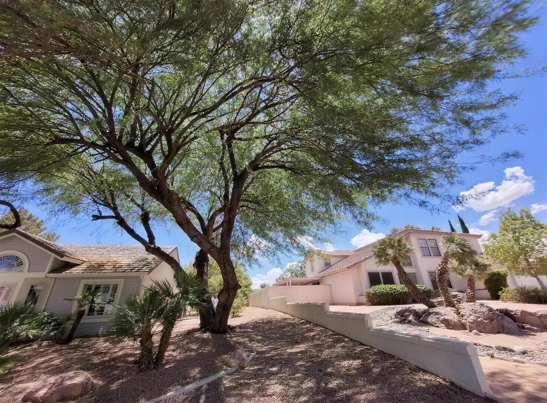 Paver circle patio surrounded by desert landscaping and a mature tree