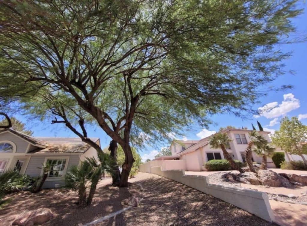 new mexico style home