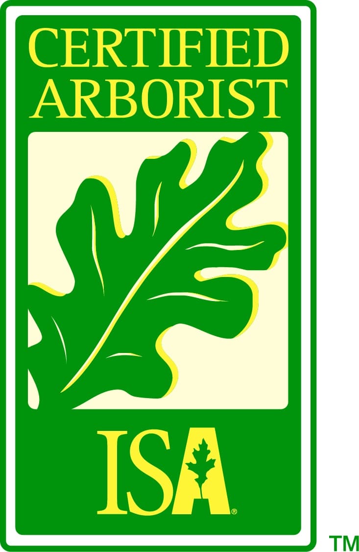 certified arborist icon