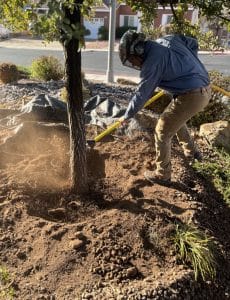 Read more about the article Your Premier Tree Planting Service for a Vibrant and Lush 2024